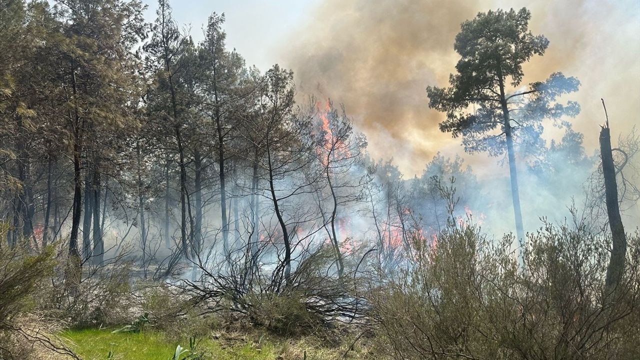 Antalya'da Orman Yangınına Müdahale Devam Ediyor