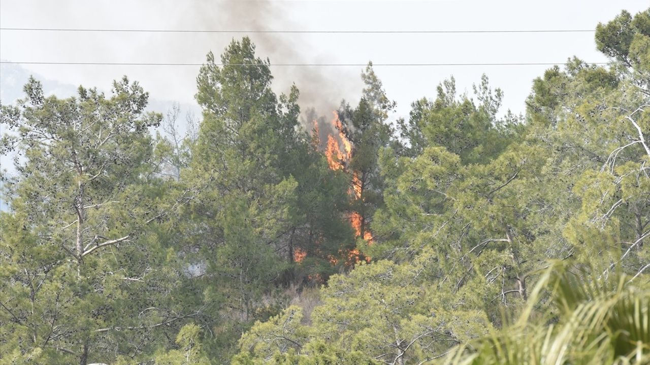 Antalya'daki Orman Yangını Kontrol Altına Alındı