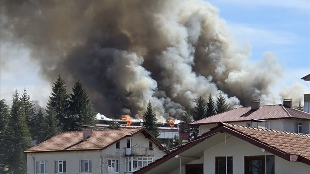 Bolu'da Orman Ürünleri İşleme Fabrikasında Yangın Çıktı