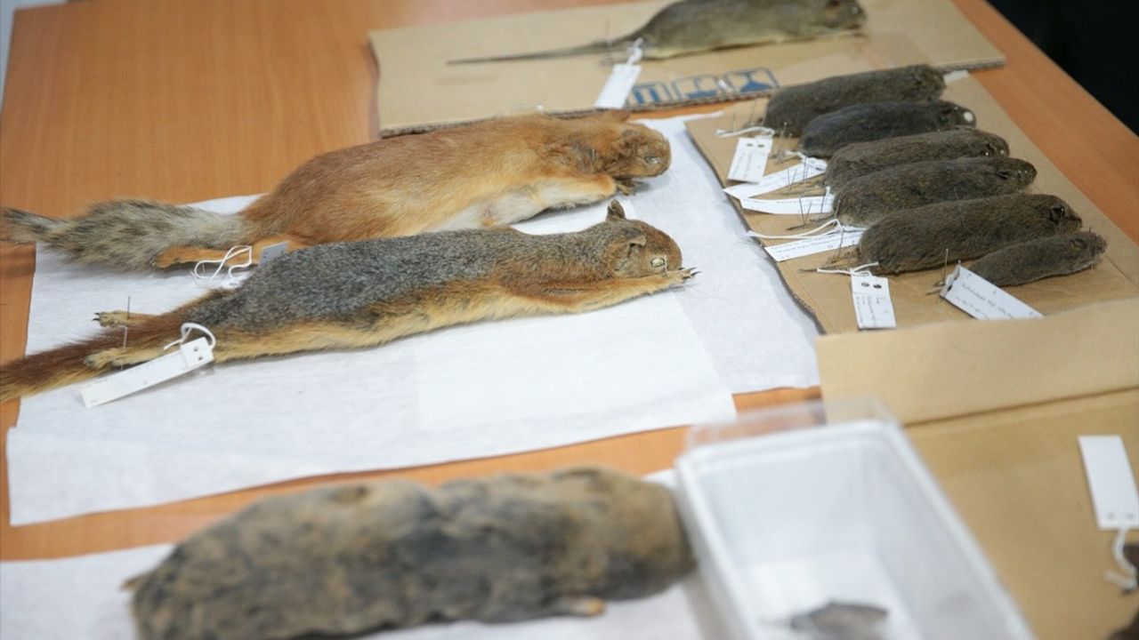 Bolu'daki Öğrenciler Yaban Hayatını Keşfediyor