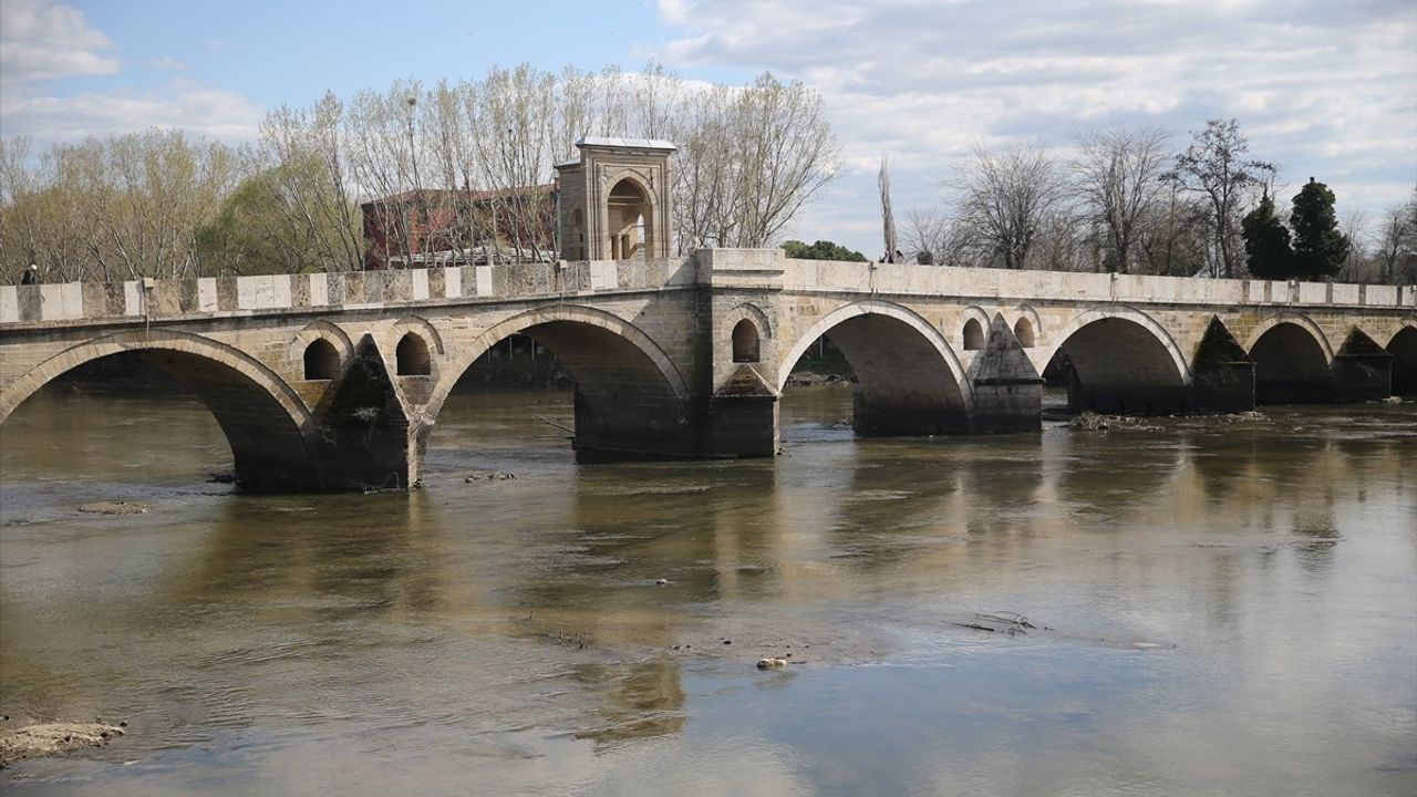 Edirne'deki Kuraklık Çeltik Üretimini Tehdit Ediyor