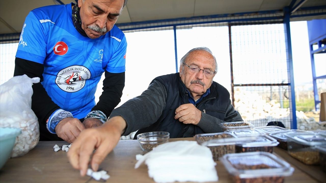 Emekli Orman Mühendisi Doğa İçin Tohum Hazırlıyor