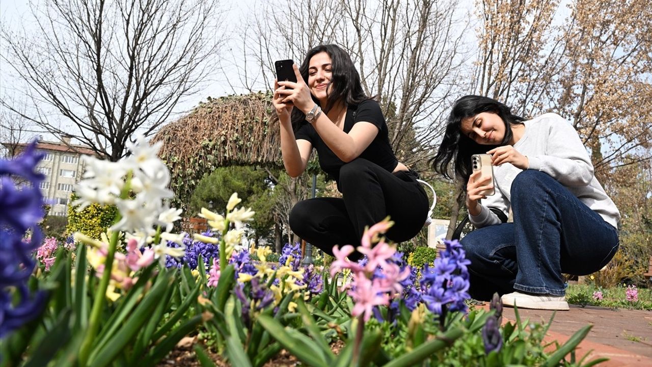 Gaziantep Botanik Bahçesi İlkbaharda Canlanıyor