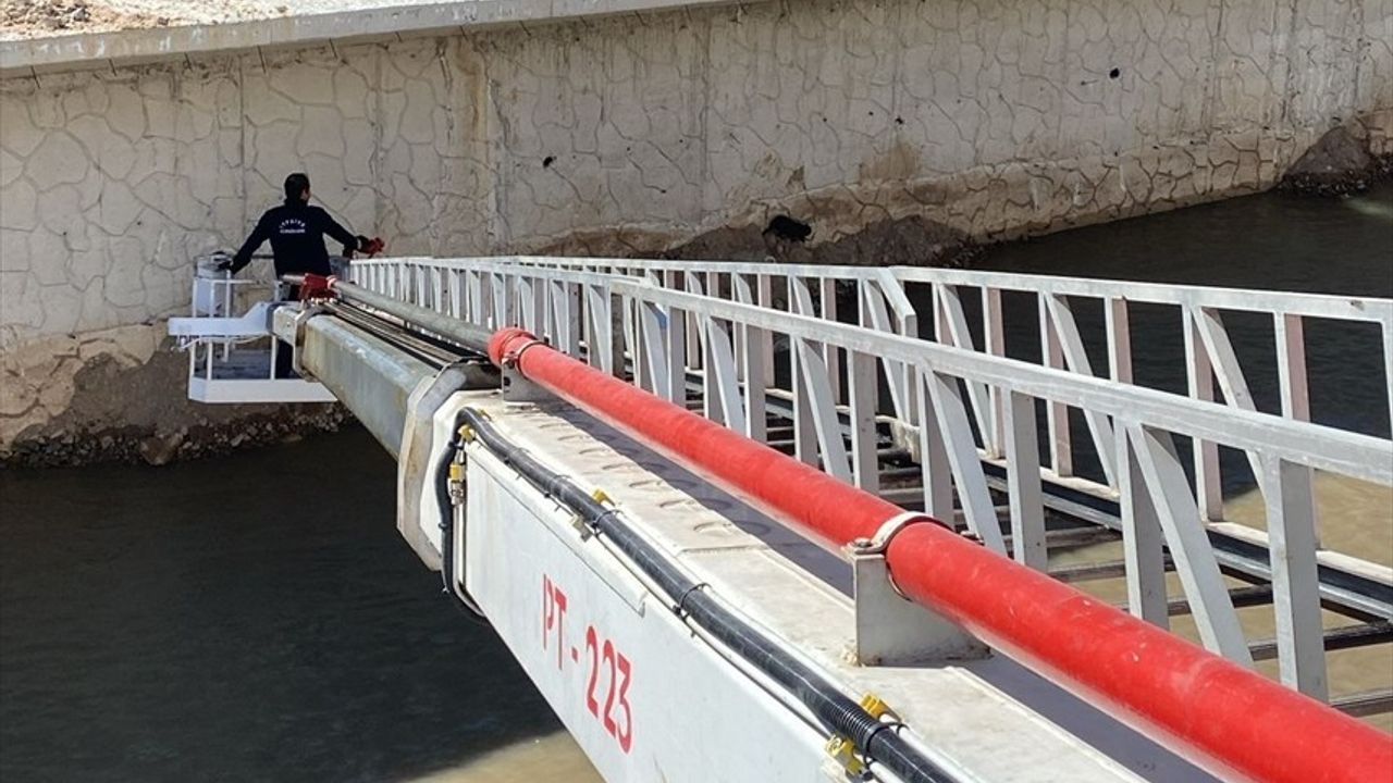 Gümüşhane'de Harşit Çayı'ndan Kurtarılan Kediler