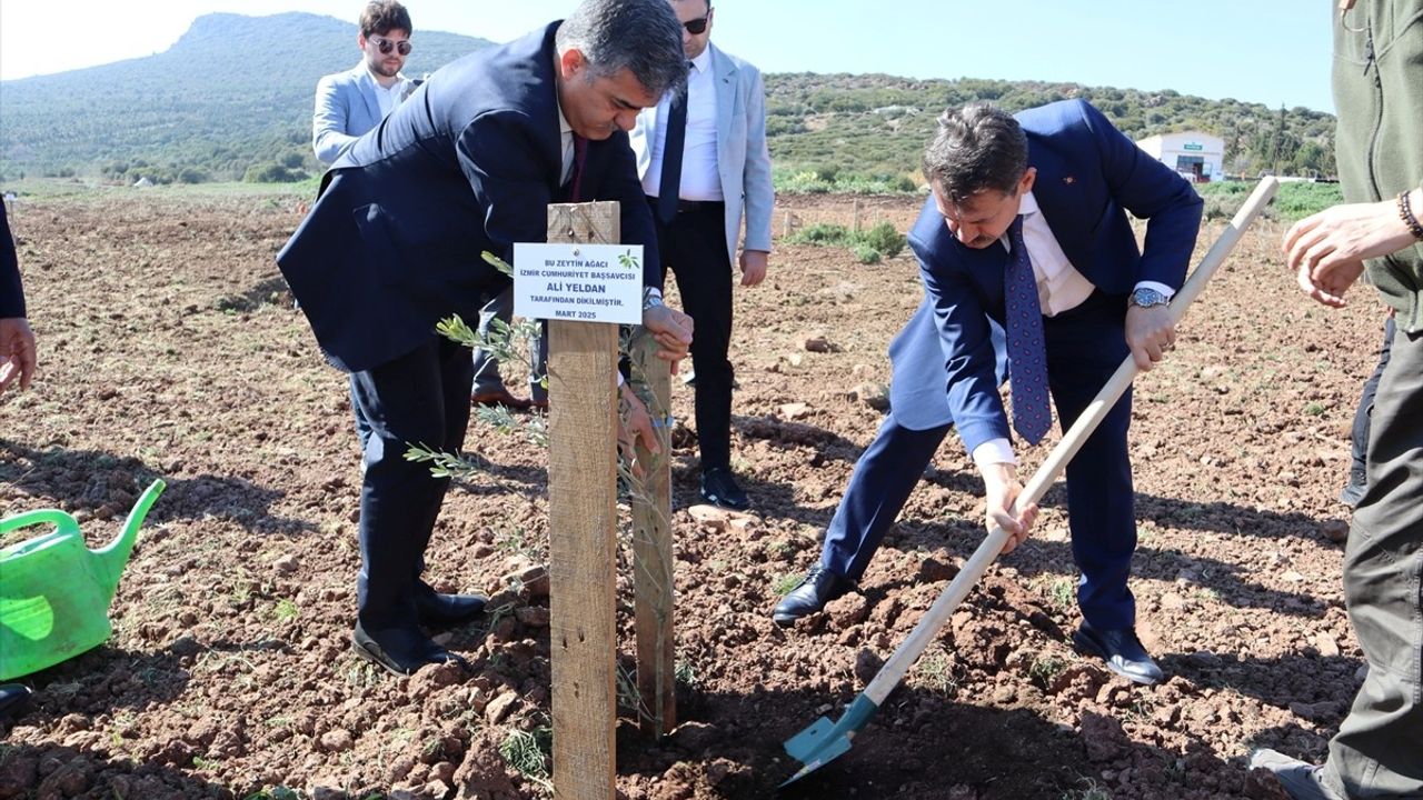 İzmir'de Kökten Hayata Projesi ile 4 Bin Fidan Toprakla Buluştu