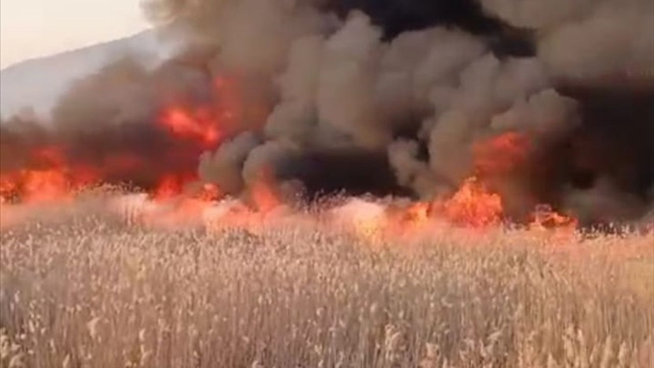 Kale'deki Sazlık Yangını Kontrol Altına Alındı