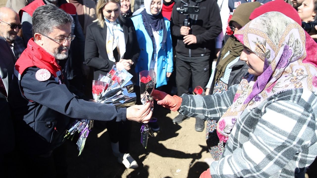 Kastamonu'da Taşköprü Sarımsağı Ekimi