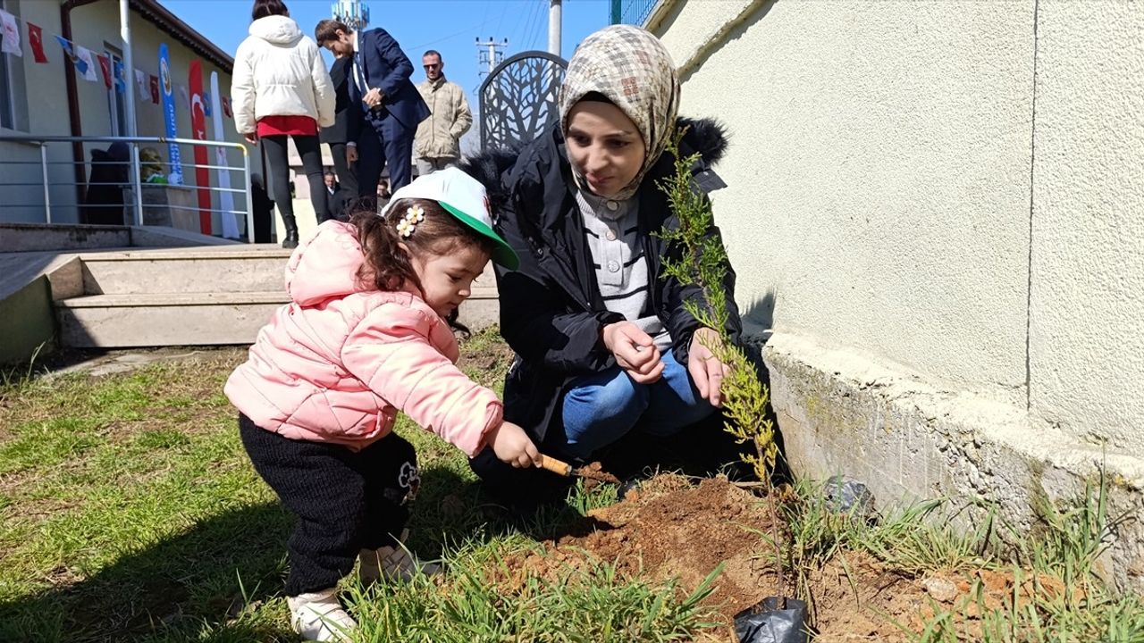 Kocaeli ve Sakarya'da Fidan Dikimi Etkinliği