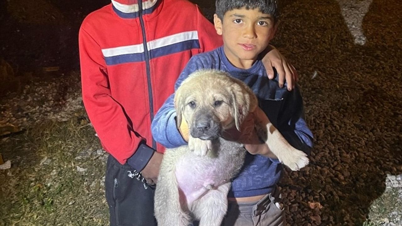 Mersin'de Kuya Düşen Köpek Yavrusu Kurtarıldı