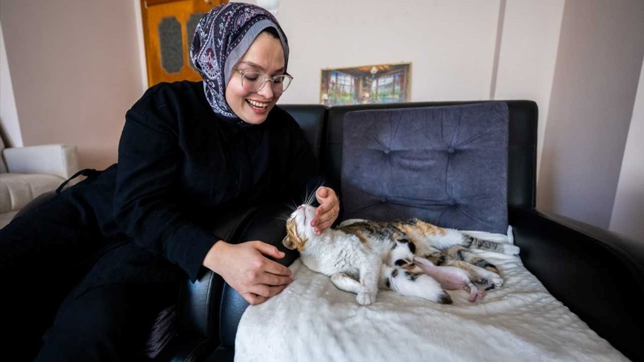 Mersin'deki Camide Doğan Kedi ve Yavruları Yeni Sahiplerini Buldu