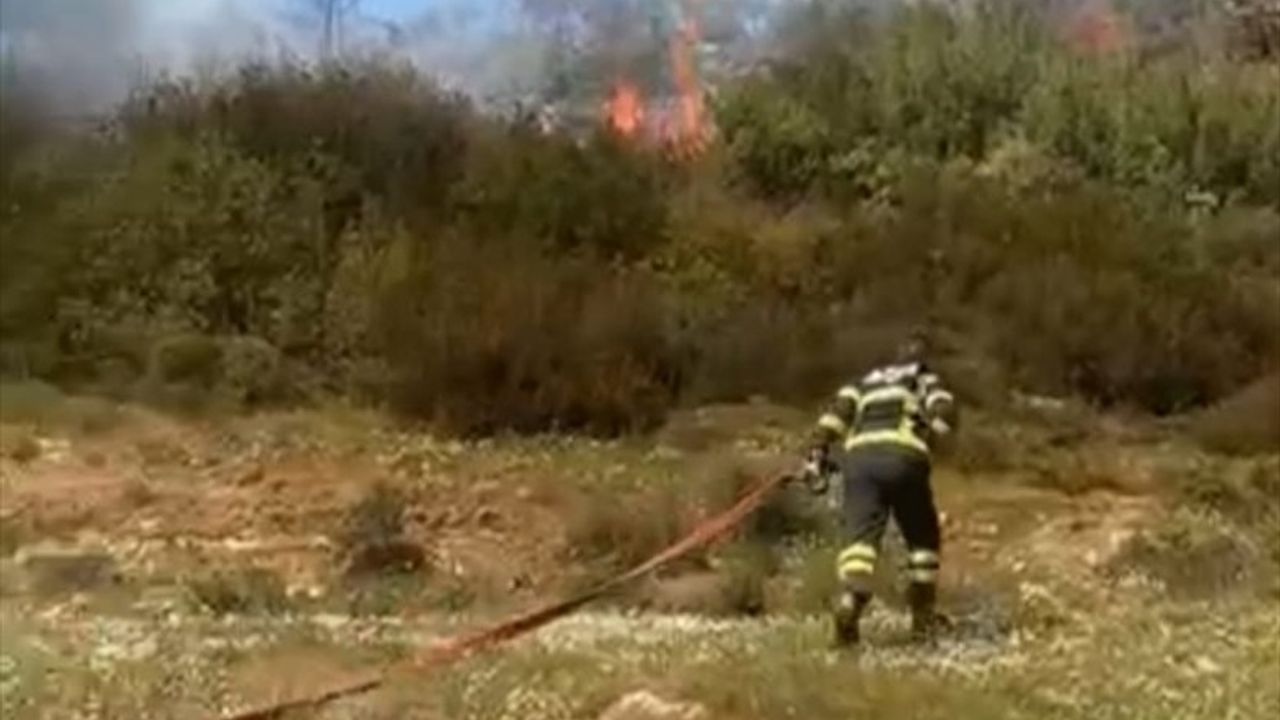 Muğla'da Ormanlık Alan Yangını Kontrol Altına Alındı