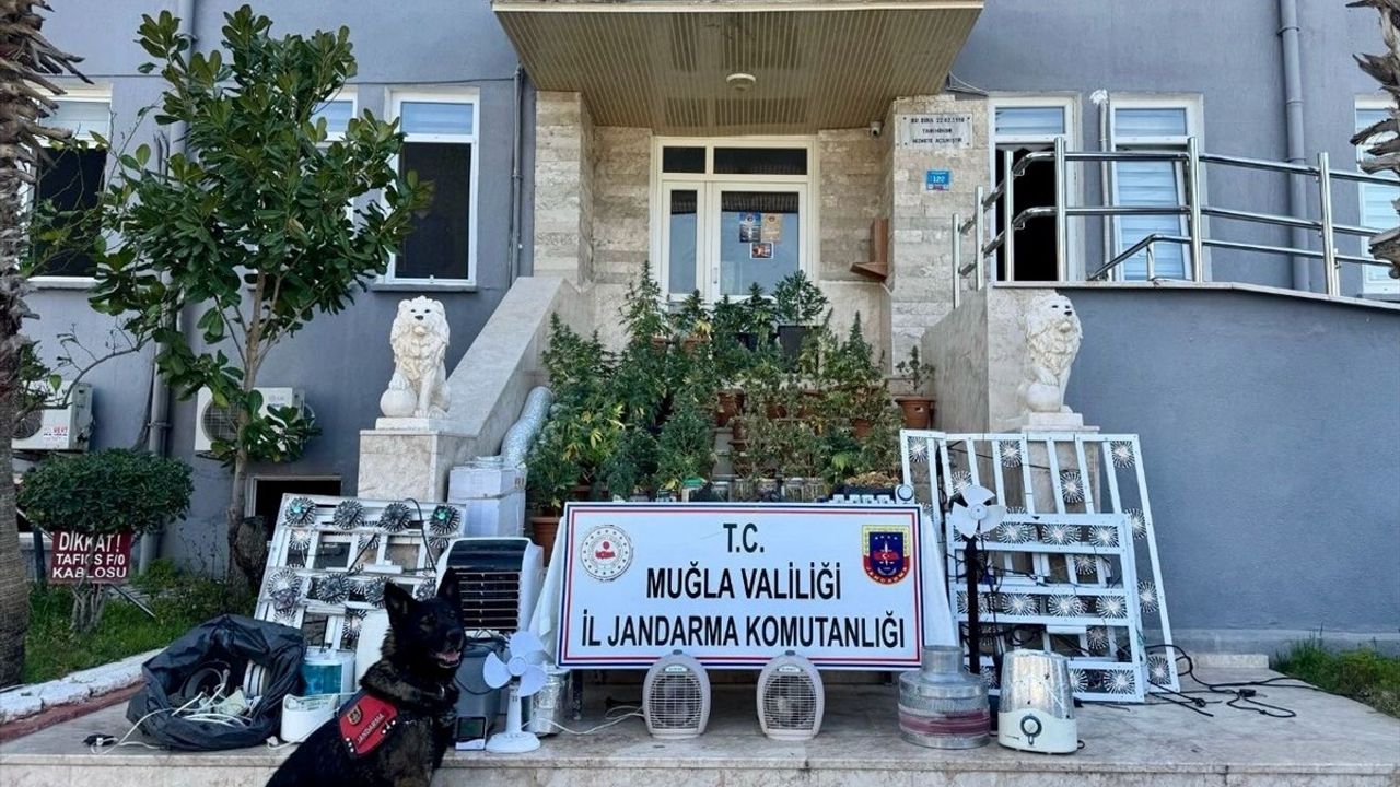 Muğla'da Uyuşturucu Operasyonu: Bir Kişi Tutuklandı