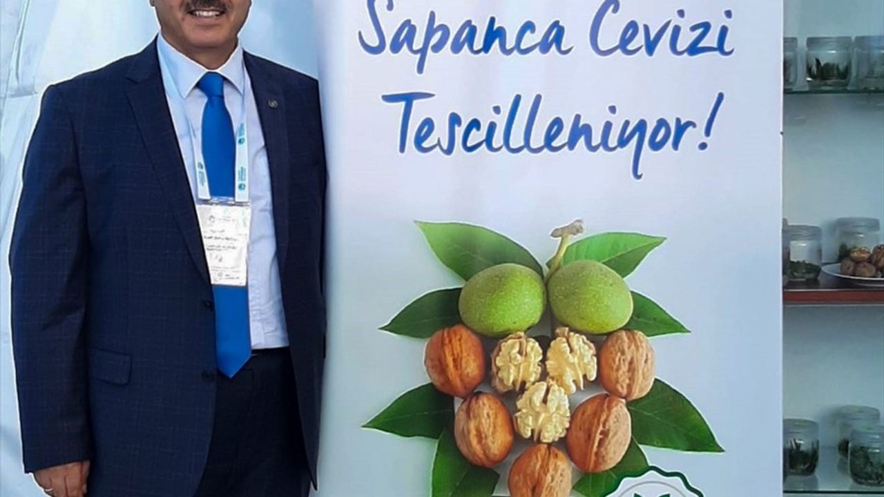 Sapanca Cevizi Coğrafi İşaret Tescilini Aldı