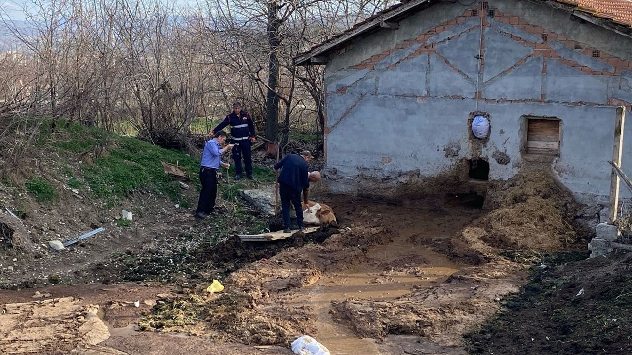 Tokat'ta İtfaiye, Gübreliğe Düşen Boğayı Kurtardı