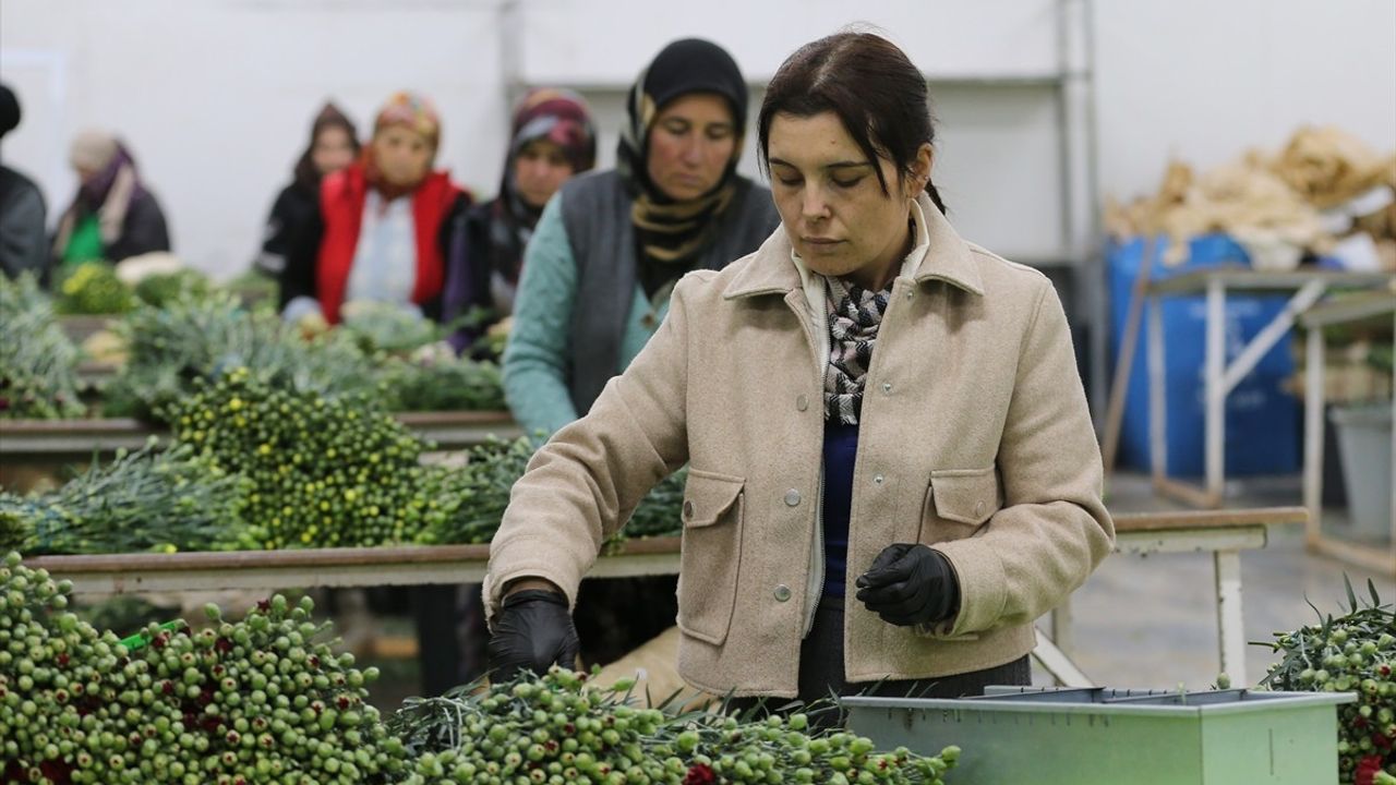 Türkiye'den Dünya Kadınlar Günü'ne Özel 75 Milyon Dal Çiçek İhracı