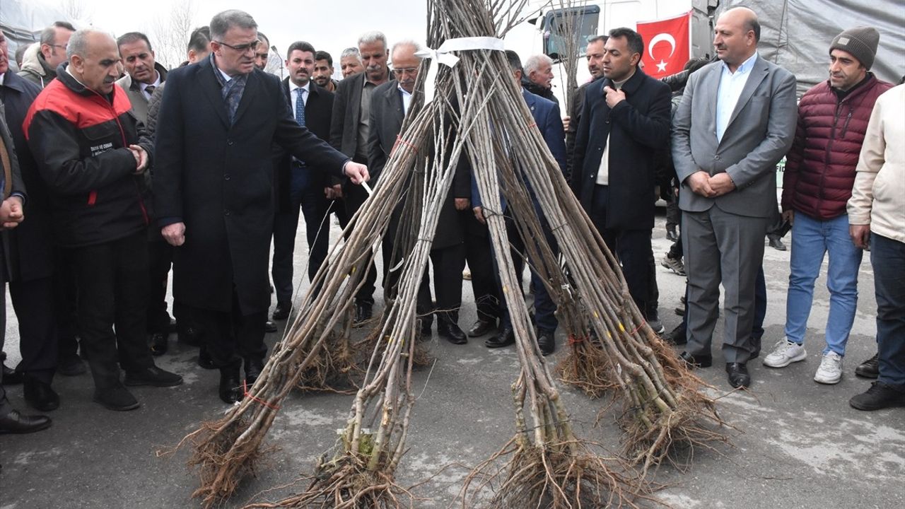 Van'da Meyve Fidanı Dağıtımıyla Tarıma Destek