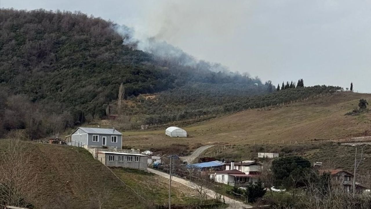 Yalova'da Orman Yangınına Müdahale Devam Ediyor