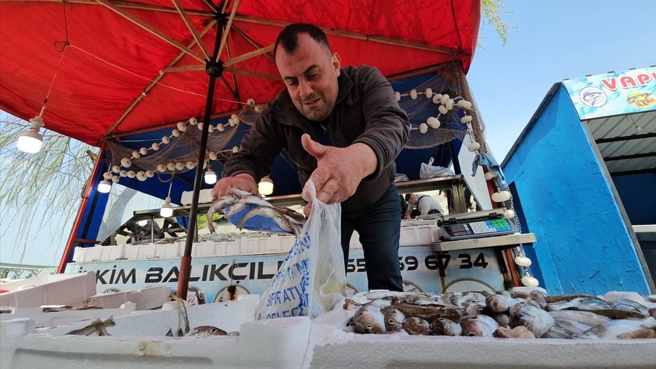 Zonguldaklı Balıkçıdan Örnek Davranış: 10 Ton Balık Geliri İhtiyaç Sahiplerine