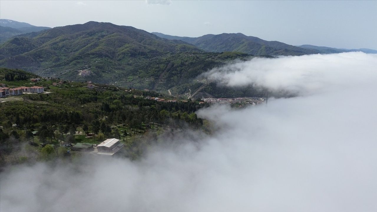 Abana'da Sis ve Dron ile Görüntülenen Doğa Manzarası