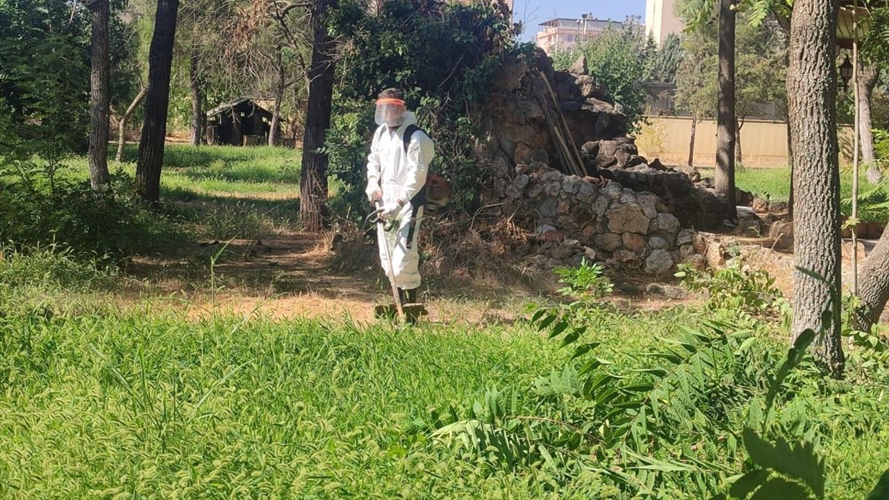 Diyarbakır'daki Hükümlülerden Oluşturulan Mobil Ekiple Kamu Binaları Güzelleşiyor