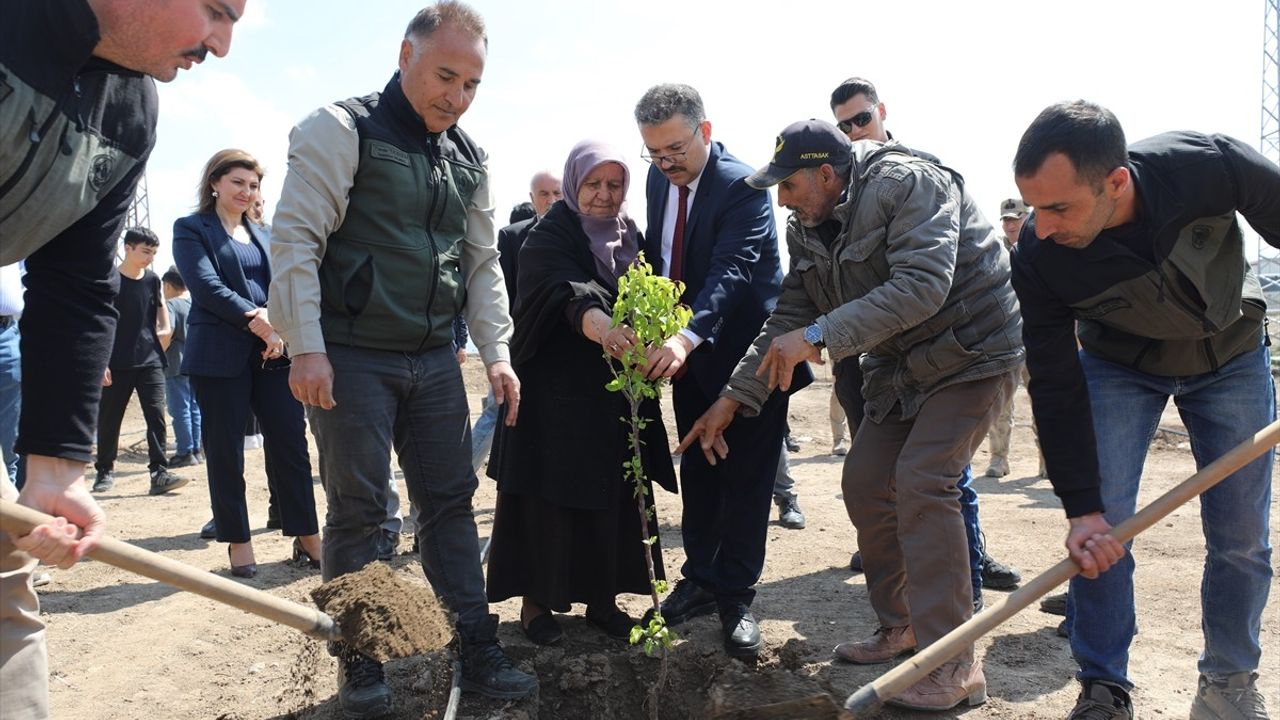 Iğdır'da Hatıra Ormanı Kuruldu