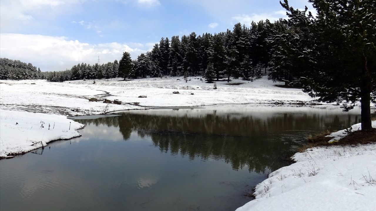 Kars'ta Kar Yağışı Beyaza Bürüdü