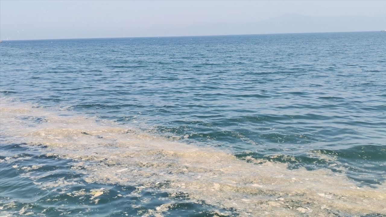 Mudanya Kıyılarında Müsilaj Belirtileri