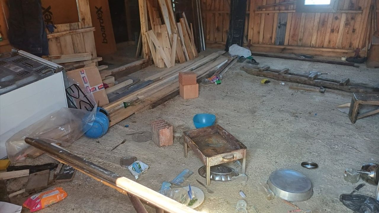 Trabzon'da Ayılar Yayla Evlerine Zarar Verdi