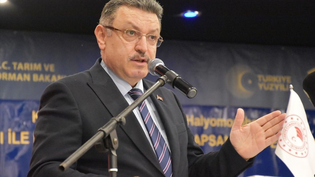 Trabzon'da Kahverengi Kokarca ile Mücadele İçin Feromon Tuzakları Asılacak