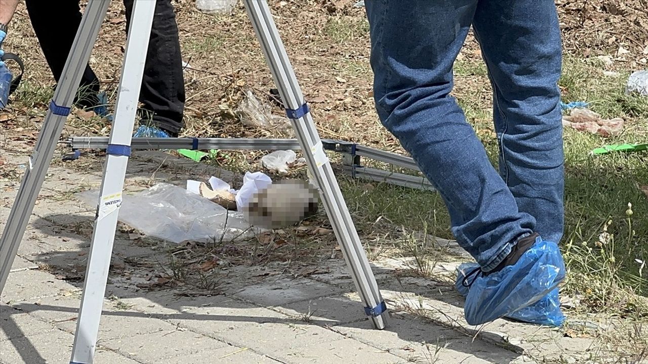 Adana'da Kafatası Bulundu