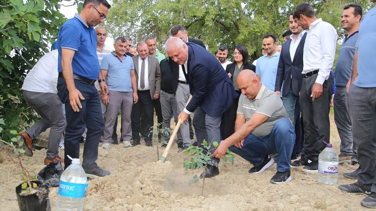 Alanya Keçiboynuzu Coğrafi İşaretle Tescillendi