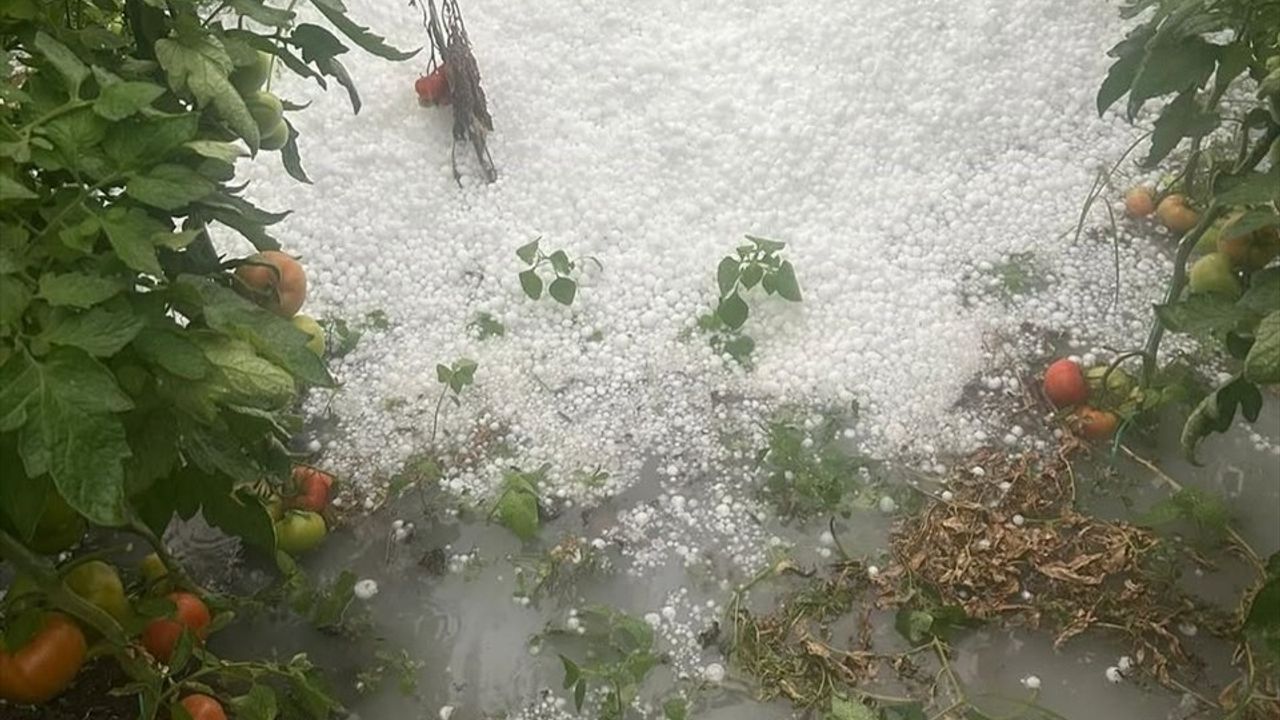 Antalya'da Sağanak ve Dolu Zarar Verdi