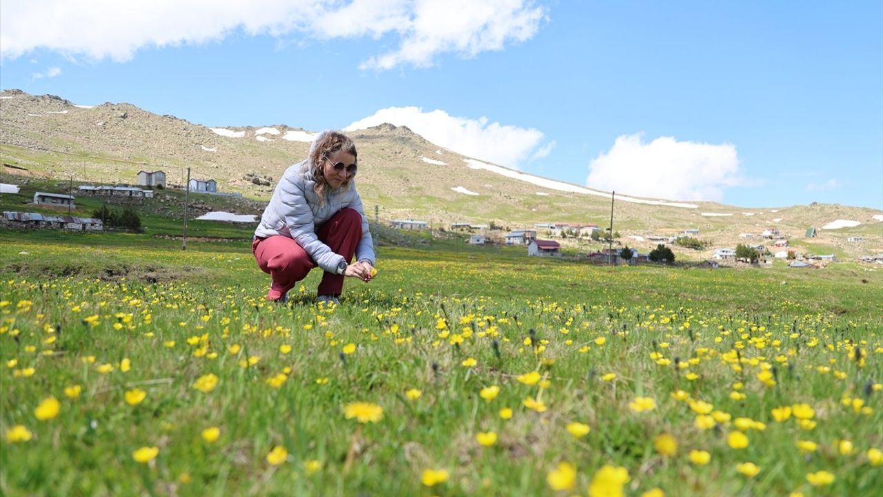 Avrupalı Gençler Bayburt'u Keşfetti
