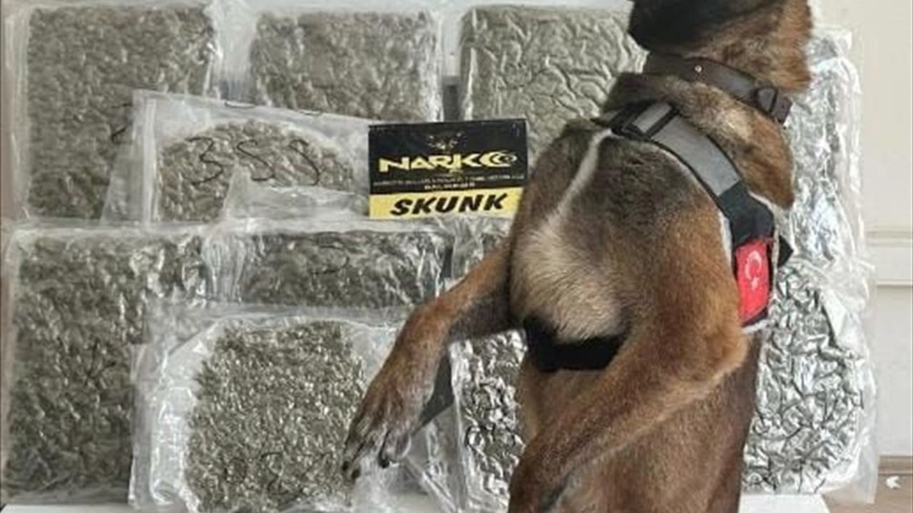 Balıkesir'de Yolcu Otobüsünde 10 Kilo Uyuşturucu Ele Geçirildi