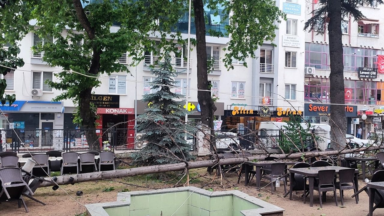 Bilecik'te Fırtına Sonrası Ağaç Kafe Bahçesine Devrildi