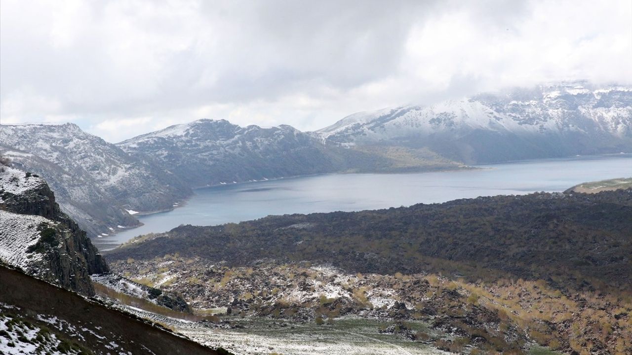 Bitlis'te Sahipsiz Hayvanlar İçin İzleme ve Denetim Toplantısı