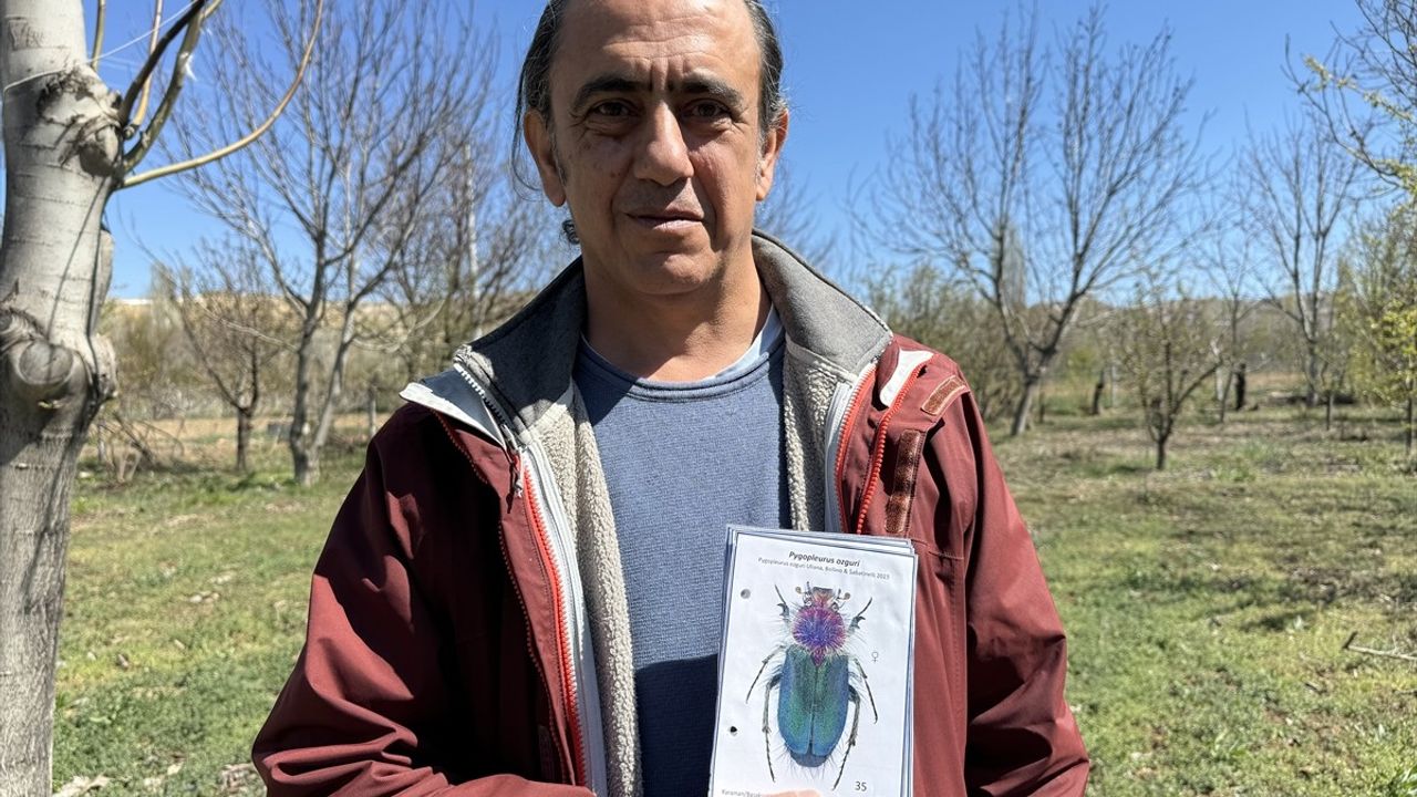 Böcekleri Ailesinin İsimleriyle Anlattı