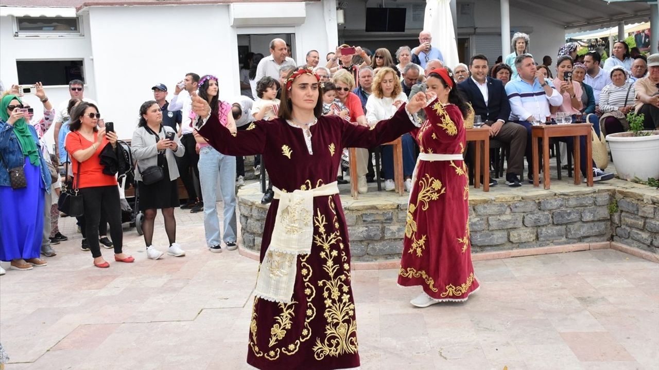Bodrum'da 3. Zeytin Çiçeği Festivali Coşkusu