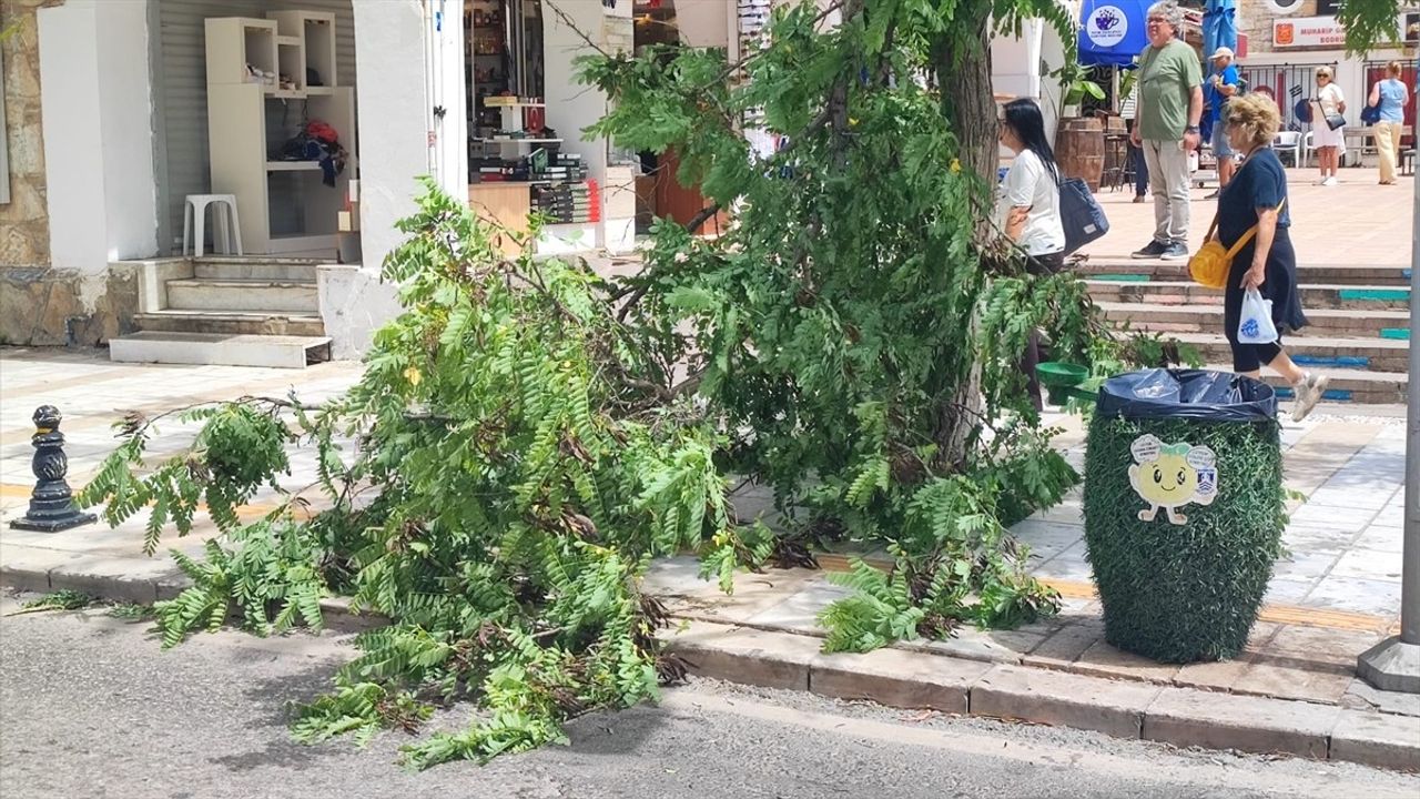 Bodrum'da Fırtınadan Dolayı Feribot Seferleri İptal Edildi