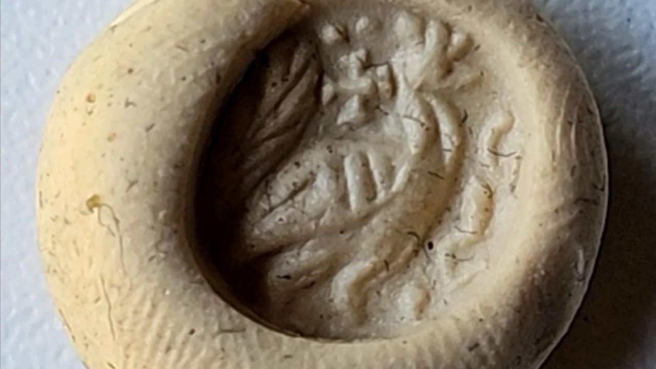 Çanakkale'de Kardeşlerin Bulduğu Yüzük Mührü Troya Müzesi'ne Teslim Edildi