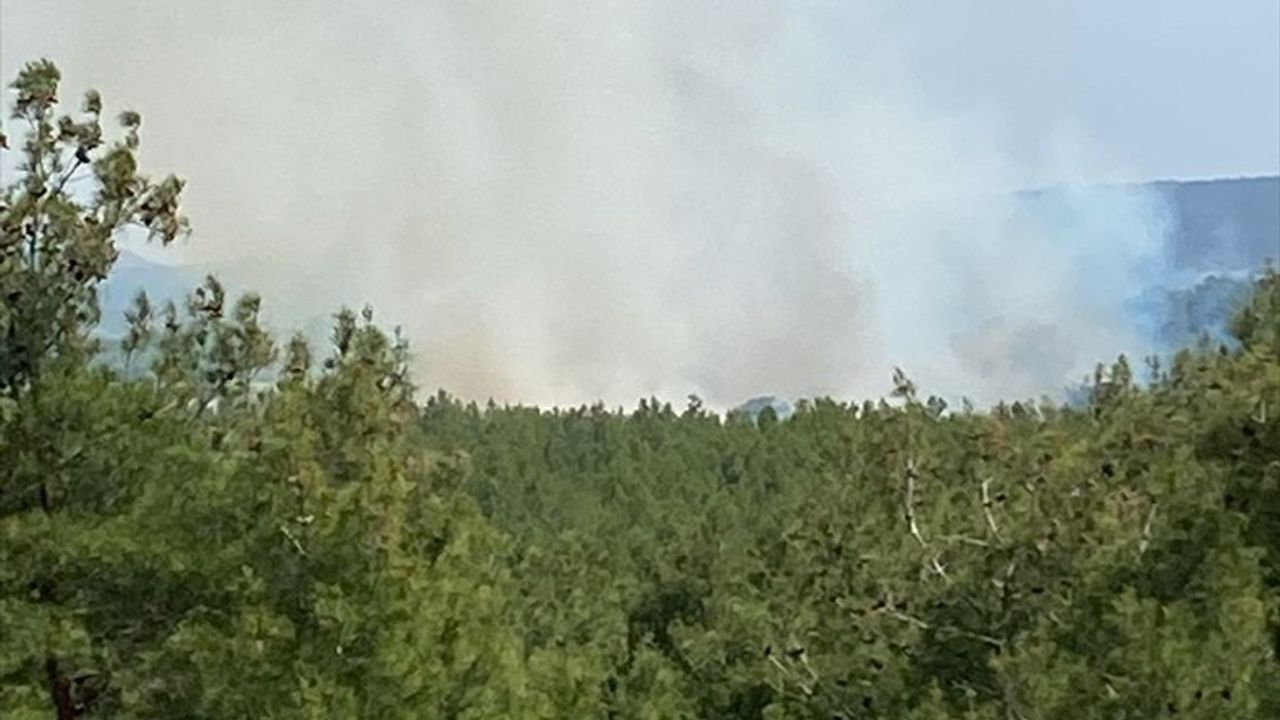 Çanakkale'deki Orman Yangını Kontrol Altına Alındı
