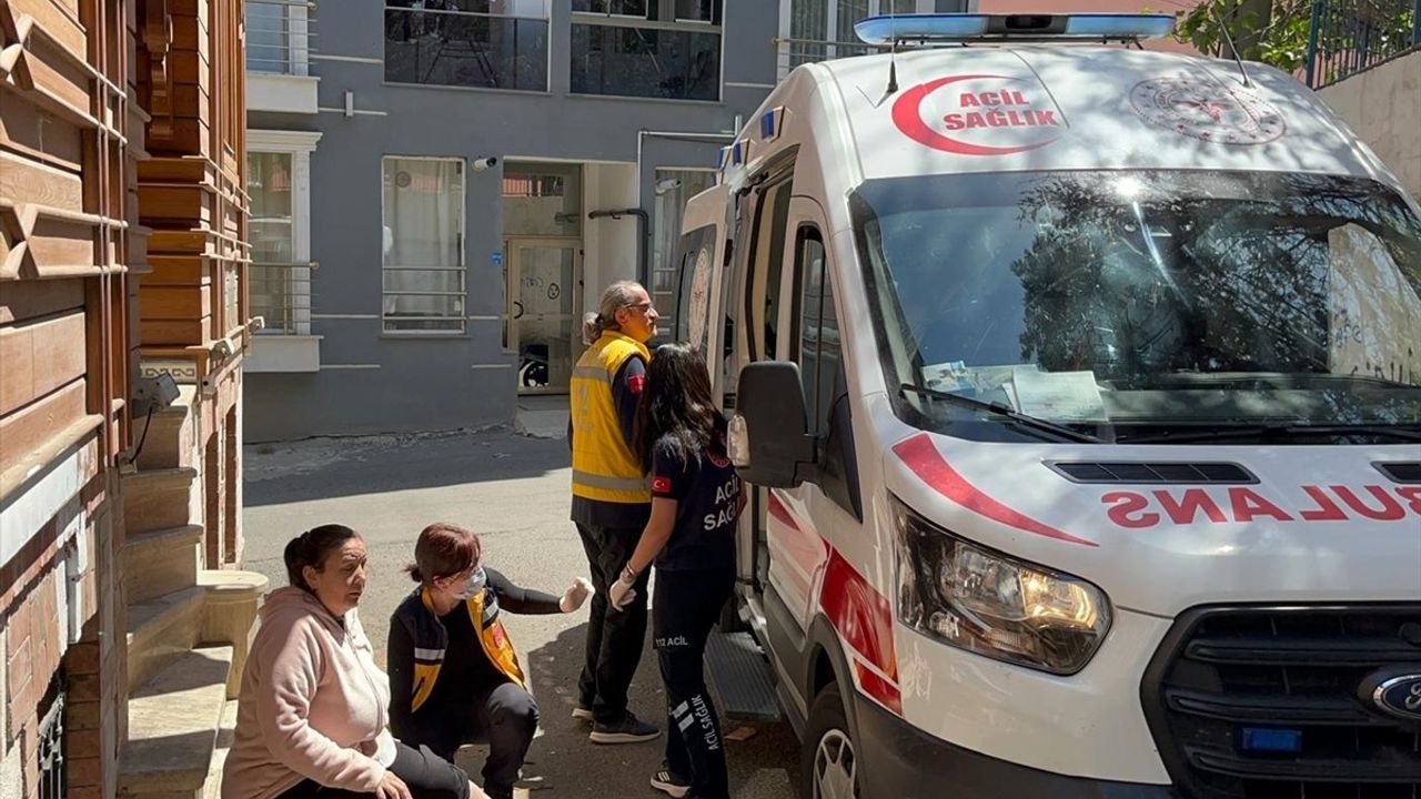 Çorlu'da Sahipsiz Köpek Isırdı: Kadın Hastaneye Kaldırıldı