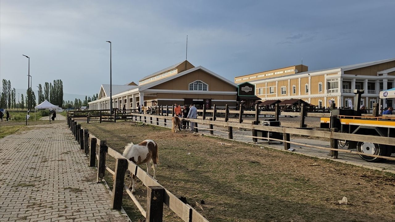 Çorum'da Uluslararası Atlı Dayanıklılık Yarışması Düzenlendi