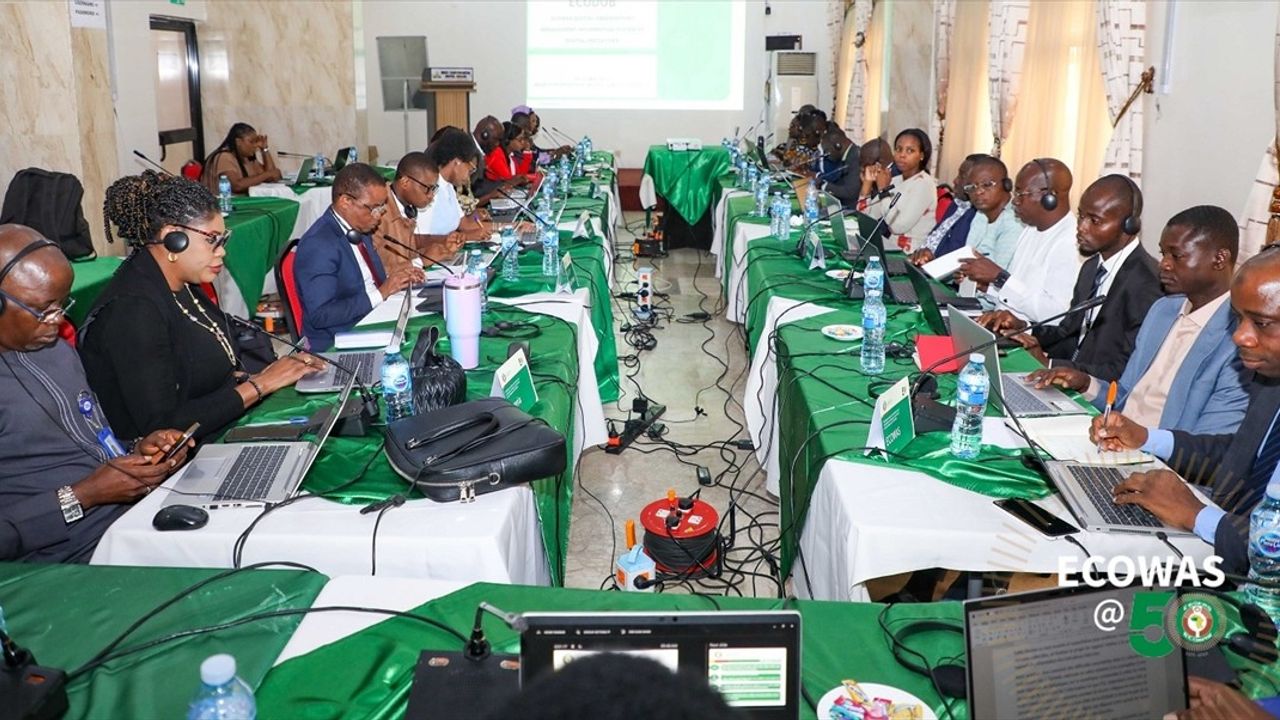 ECOWAS'ın Nijerya'daki Dijital Gözlemevi Yıllık Toplantısı Başladı
