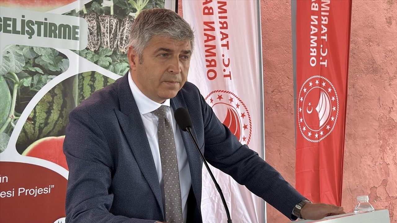 Edirne'de Çiftçilere Karpuz Fidesi Dağıtımı Yapıldı