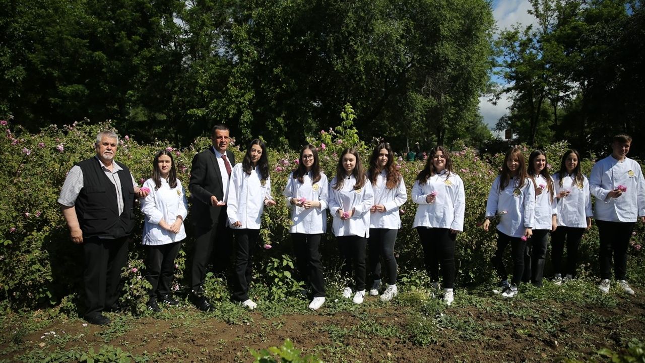 Edirne'de Öğrenciler Gül Hasadı Yaptı
