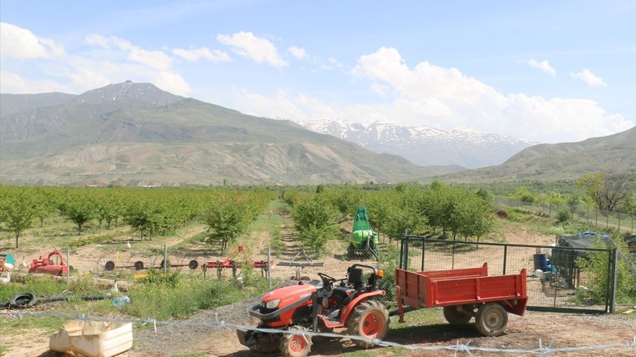 Erzincan'da Vişne Üretimi: Prof. Dr. İbrahim Ethem Geçim'in Katkıları