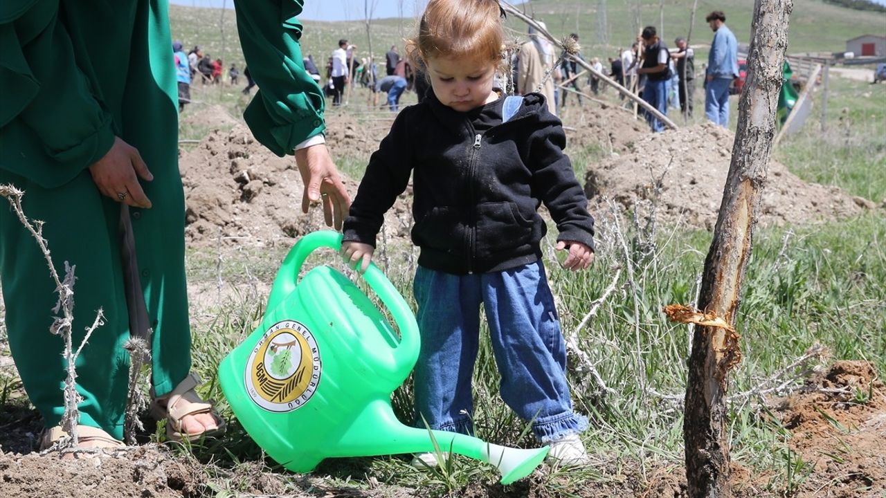 Erzurum'da Fidan Dikim Etkinliği: Geleceğe Nefes