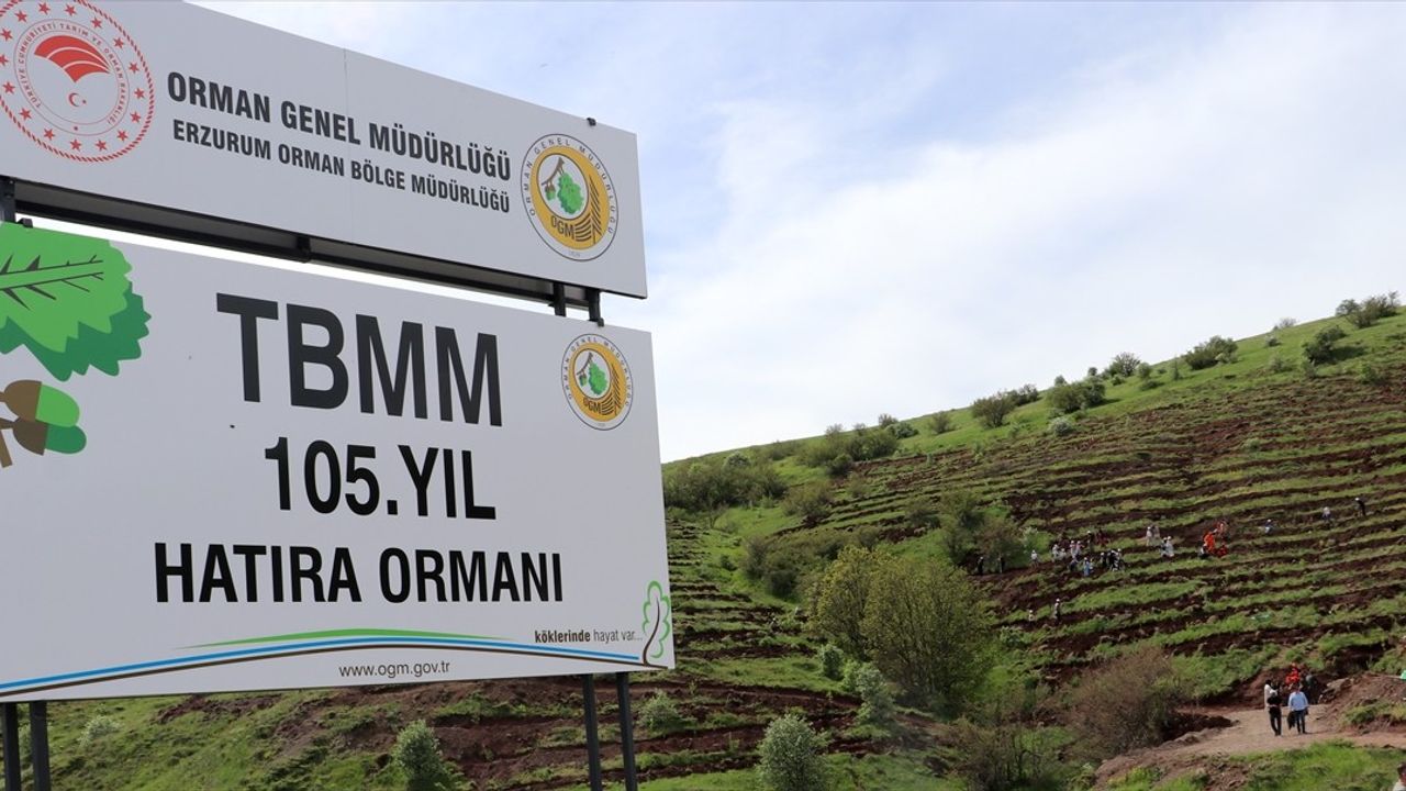 Erzurum'da TBMM'nin 105. Yılı İçin 105 Bin Fidan Dikimi Başladı
