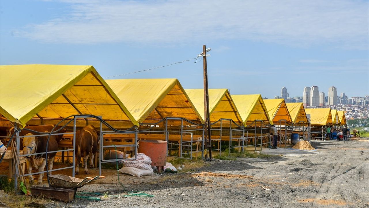 Esenyurt'da Modern Kurban Satış ve Kesim Alanı Hizmete Girdi